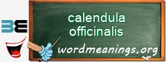 WordMeaning blackboard for calendula officinalis